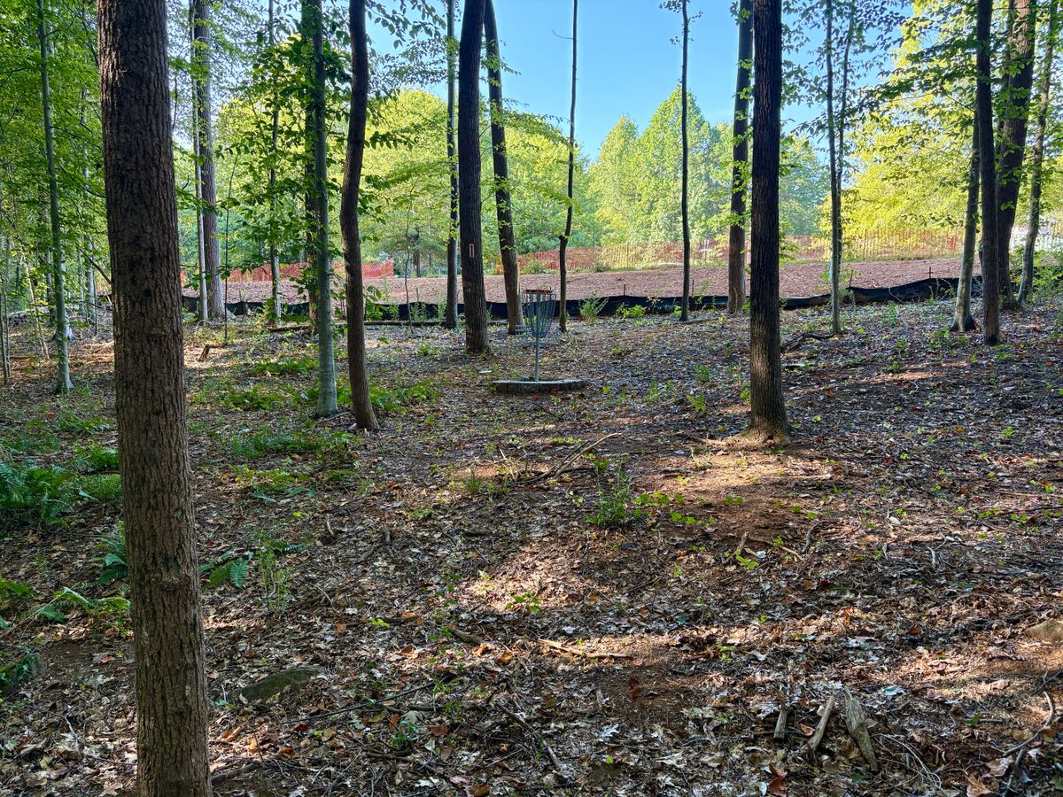 Hole 6 approach