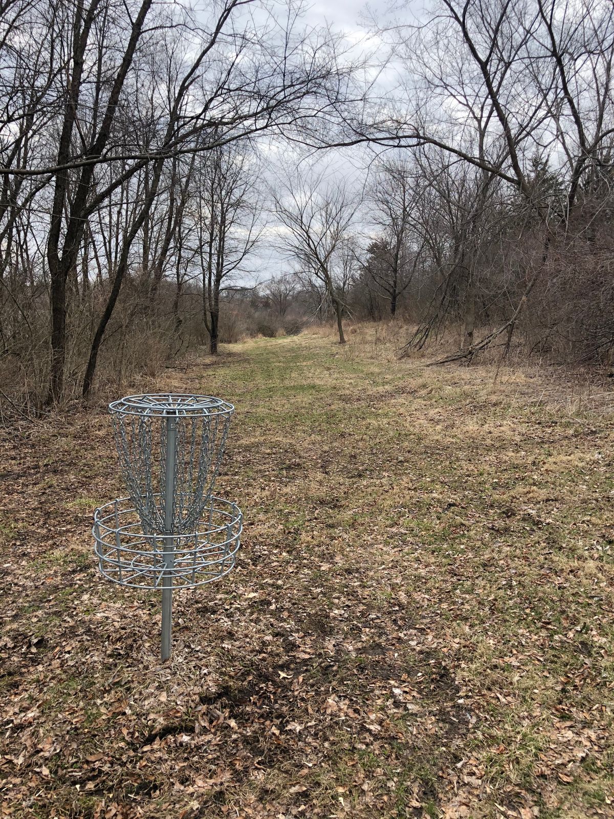 11 pin looking back
