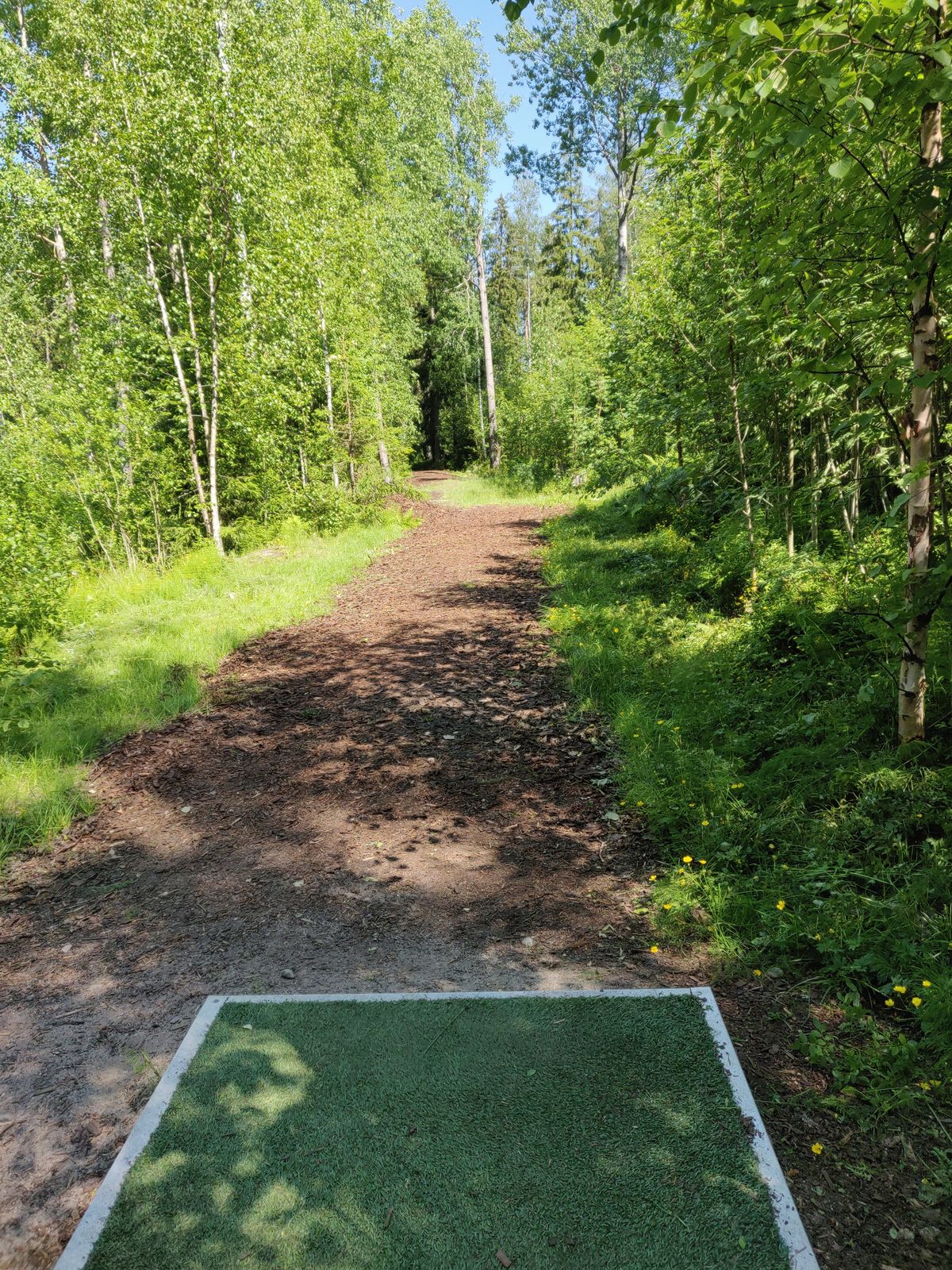 Väylä 3, puuta ja pusikkoa molemmin puolin, kaartaa lopuksi vasemmalle