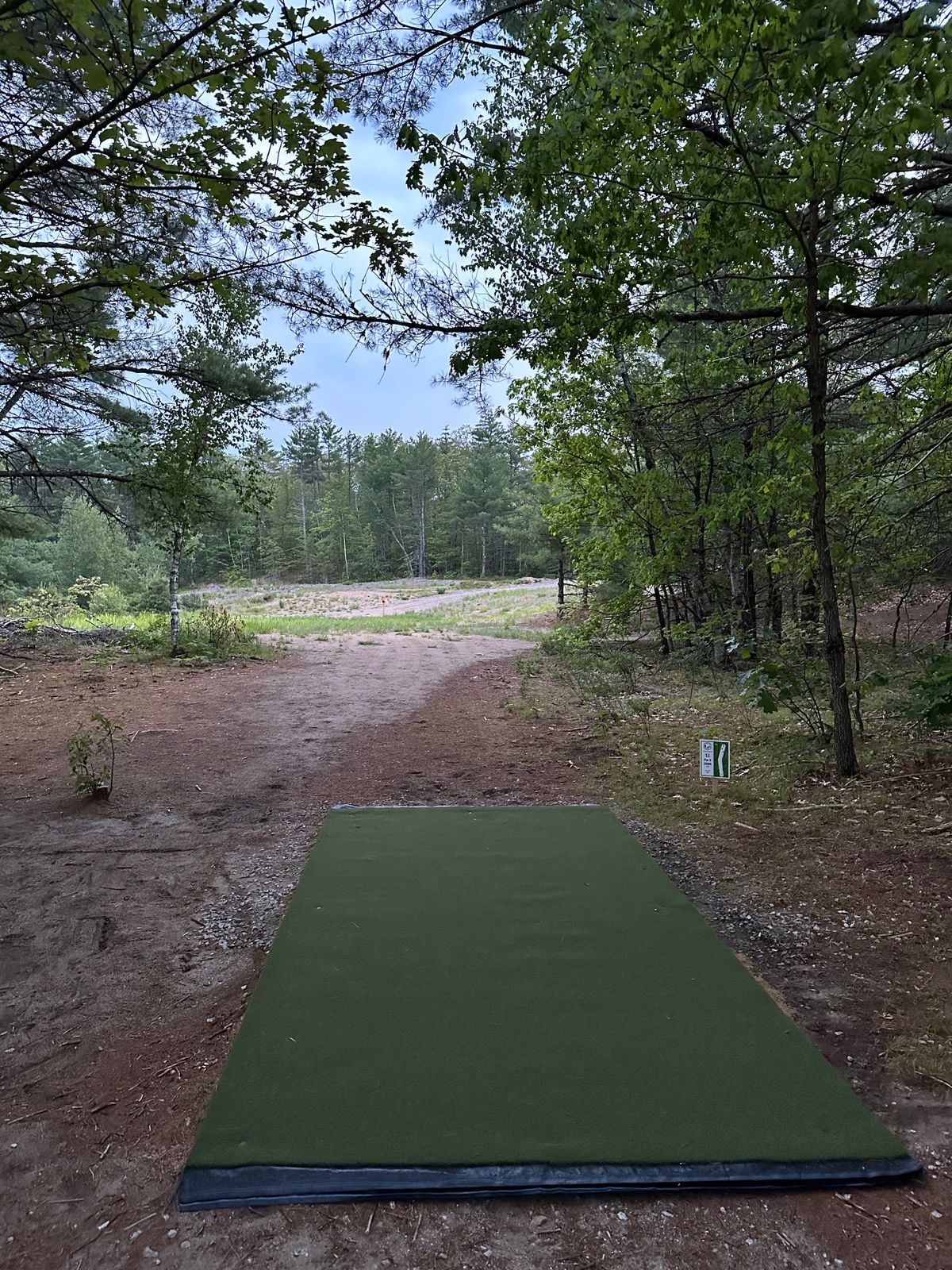 Hole 11 Tee