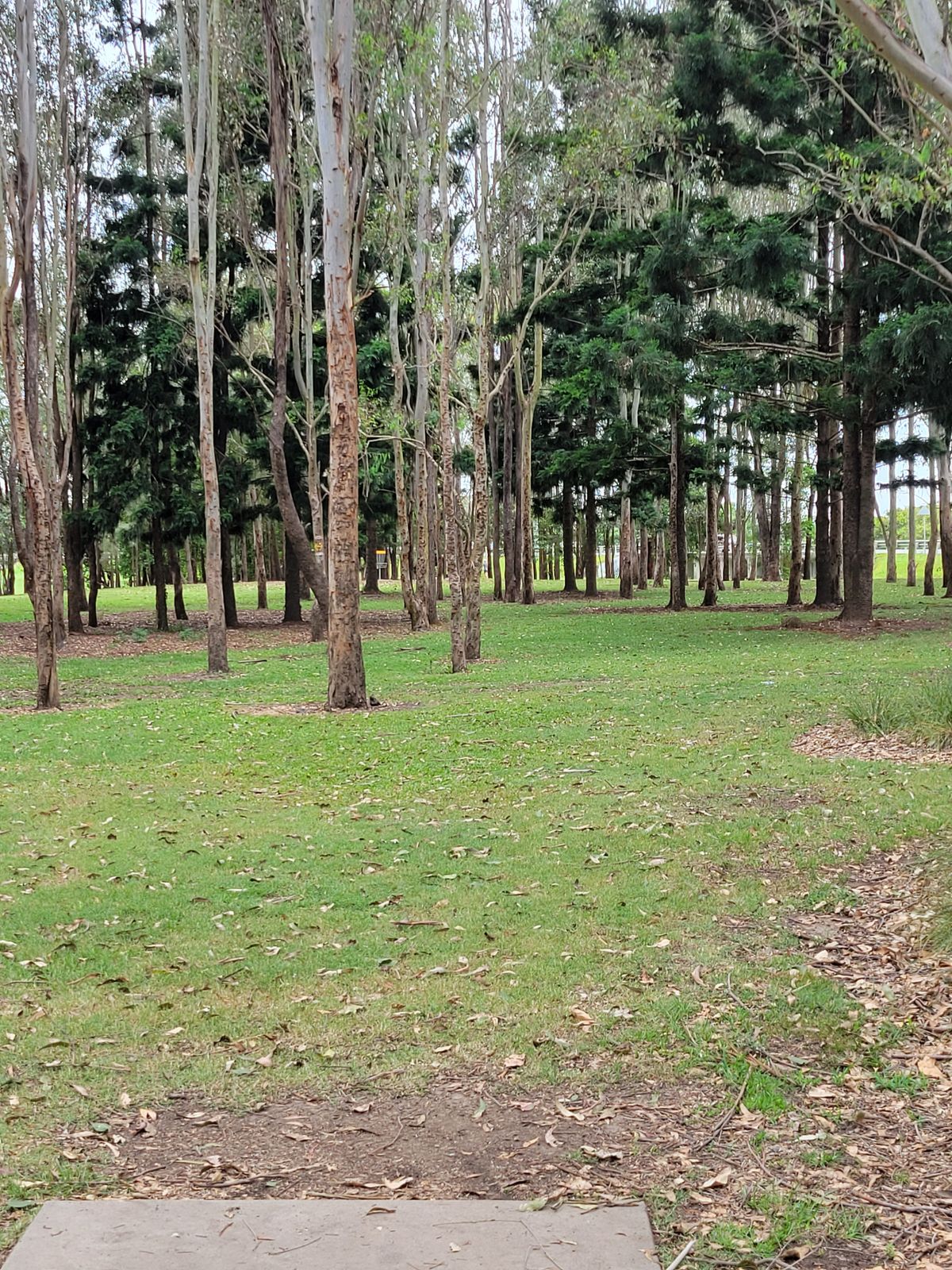 Hole 2B