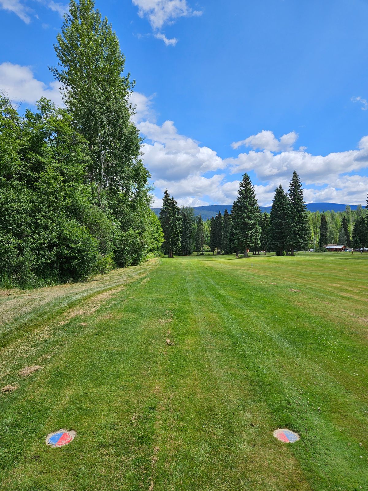 left side ob, ball golf green ob