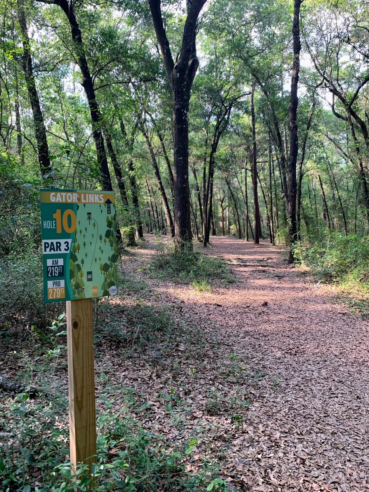 Back 9 is pretty heavily wooded. Still, most holes have one or two lines. Does get pretty technical
