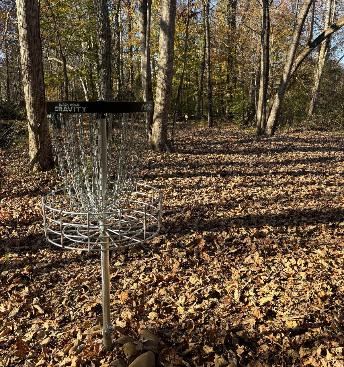 Hole #10 Basket to Tee