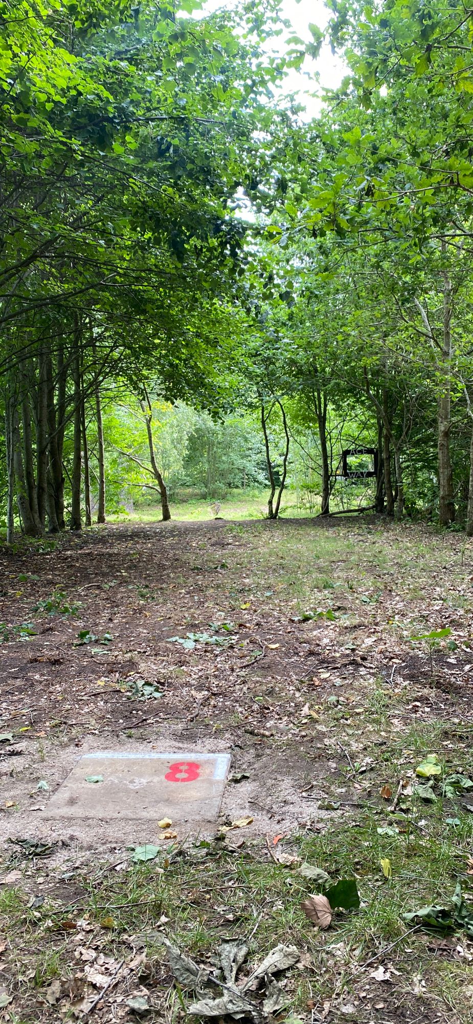 Hole 8, Red Tee.
