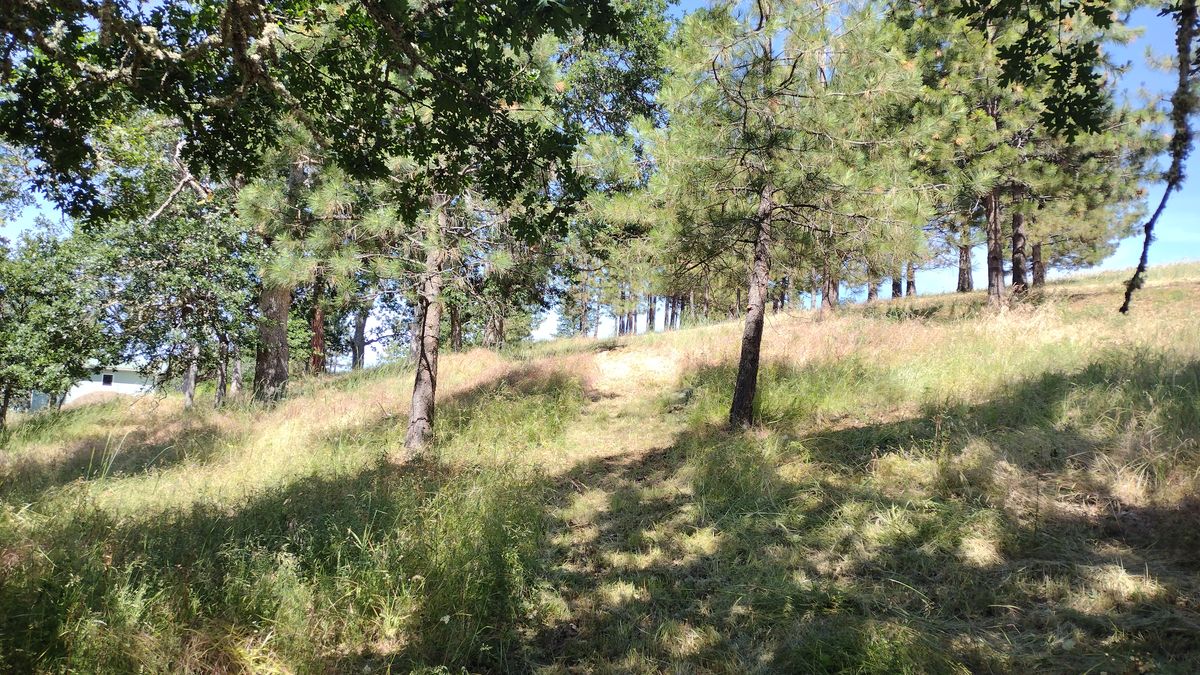 Hole 18