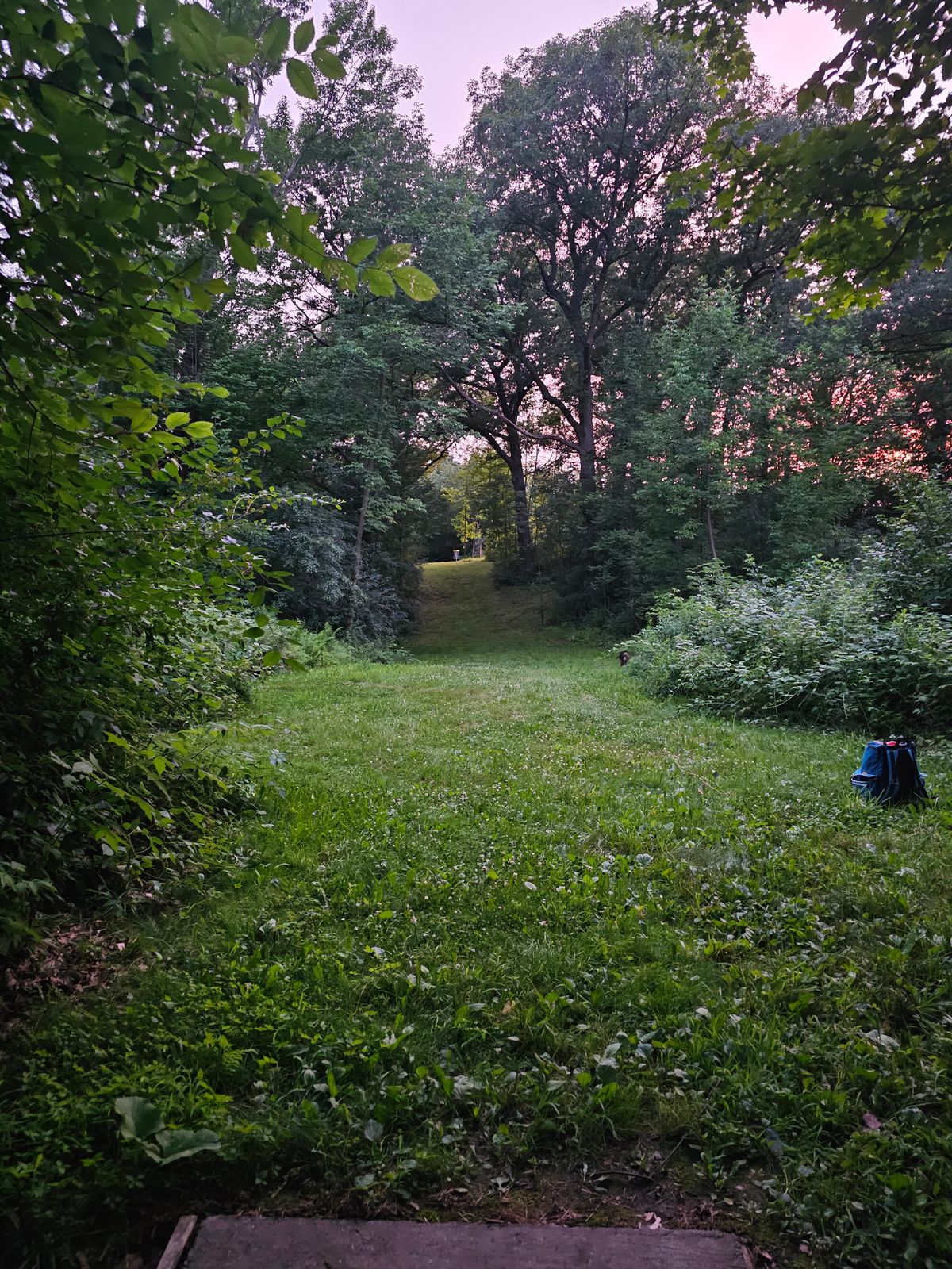 Buckthorn DGC