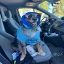 jaydog120196