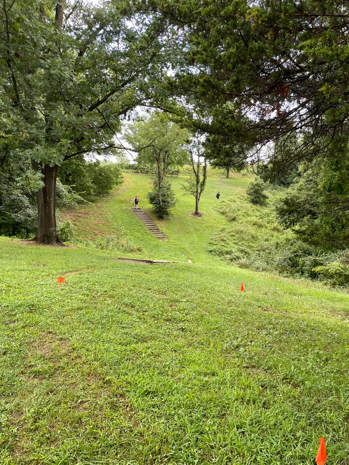 Great parks making disc golf course greater