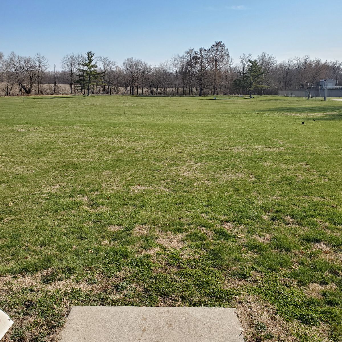Hole 6 T