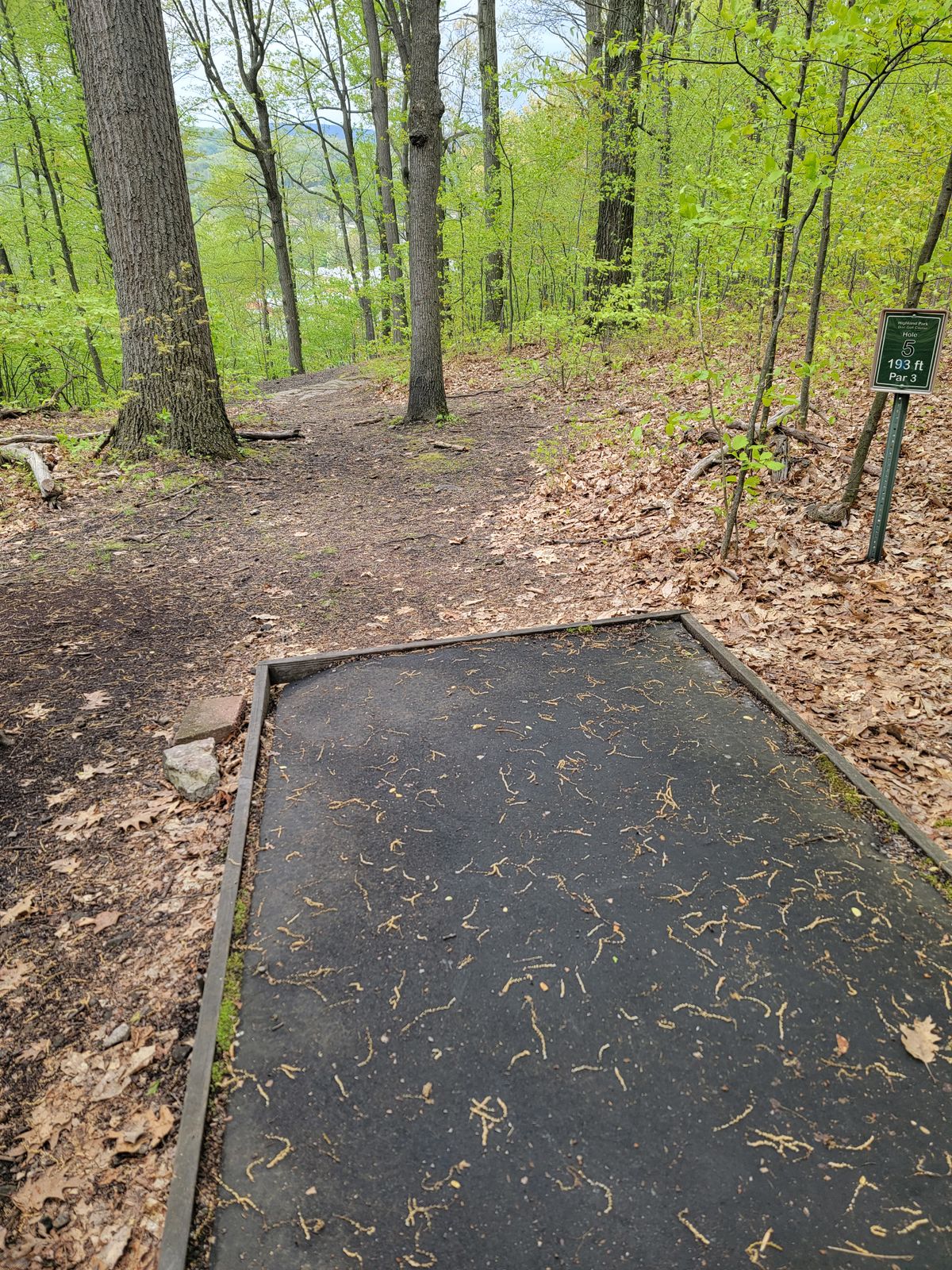 Hole #5
