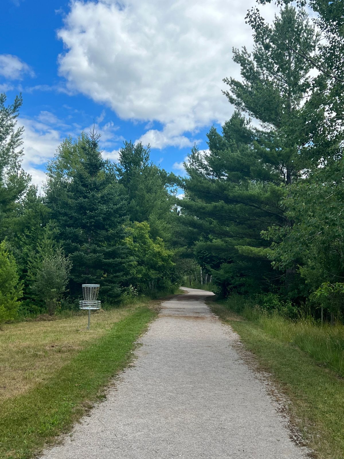 Basket Hole 7 - Looking back down the fairway.