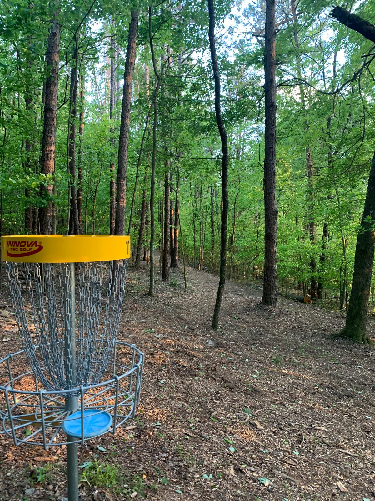 Basket Hole #11