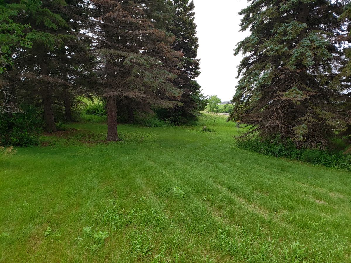 Hole 17 green