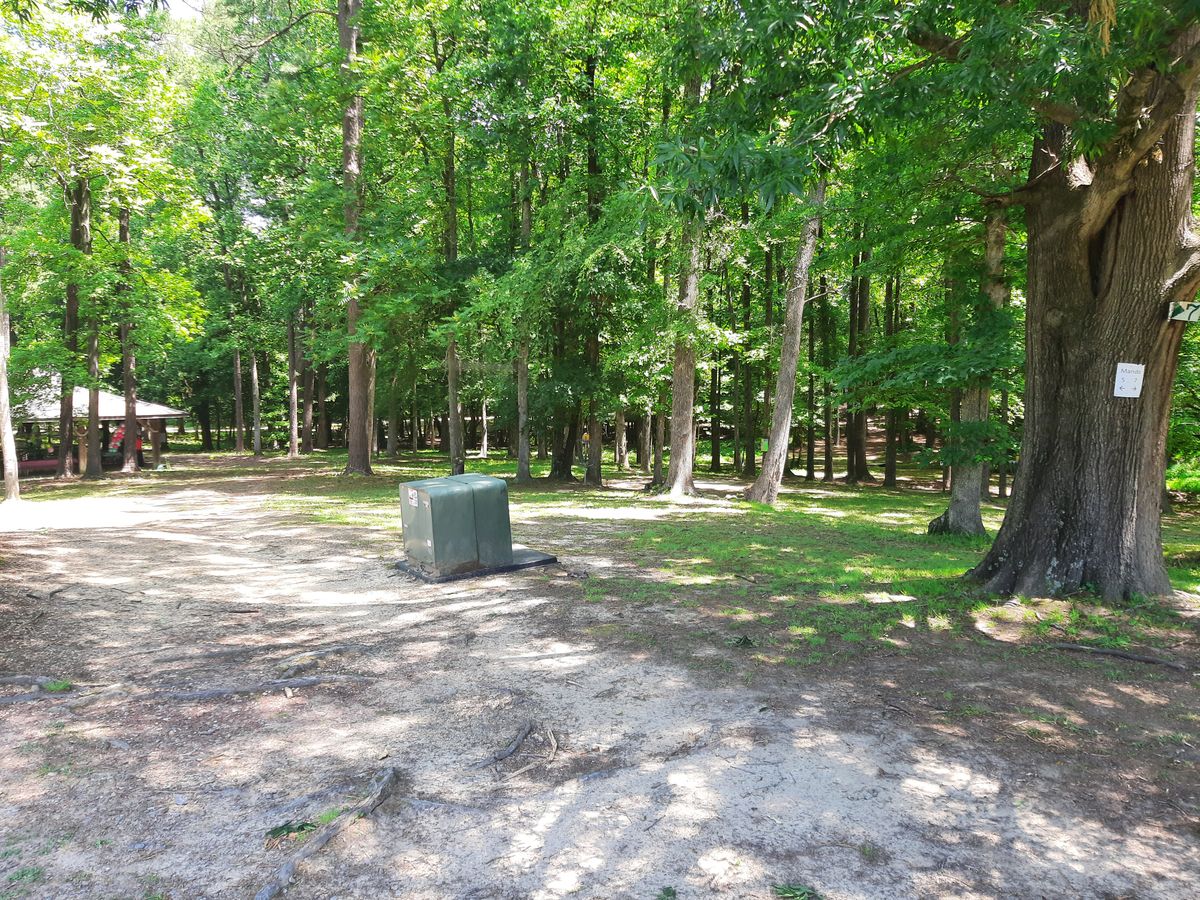 Hole 5 Approach