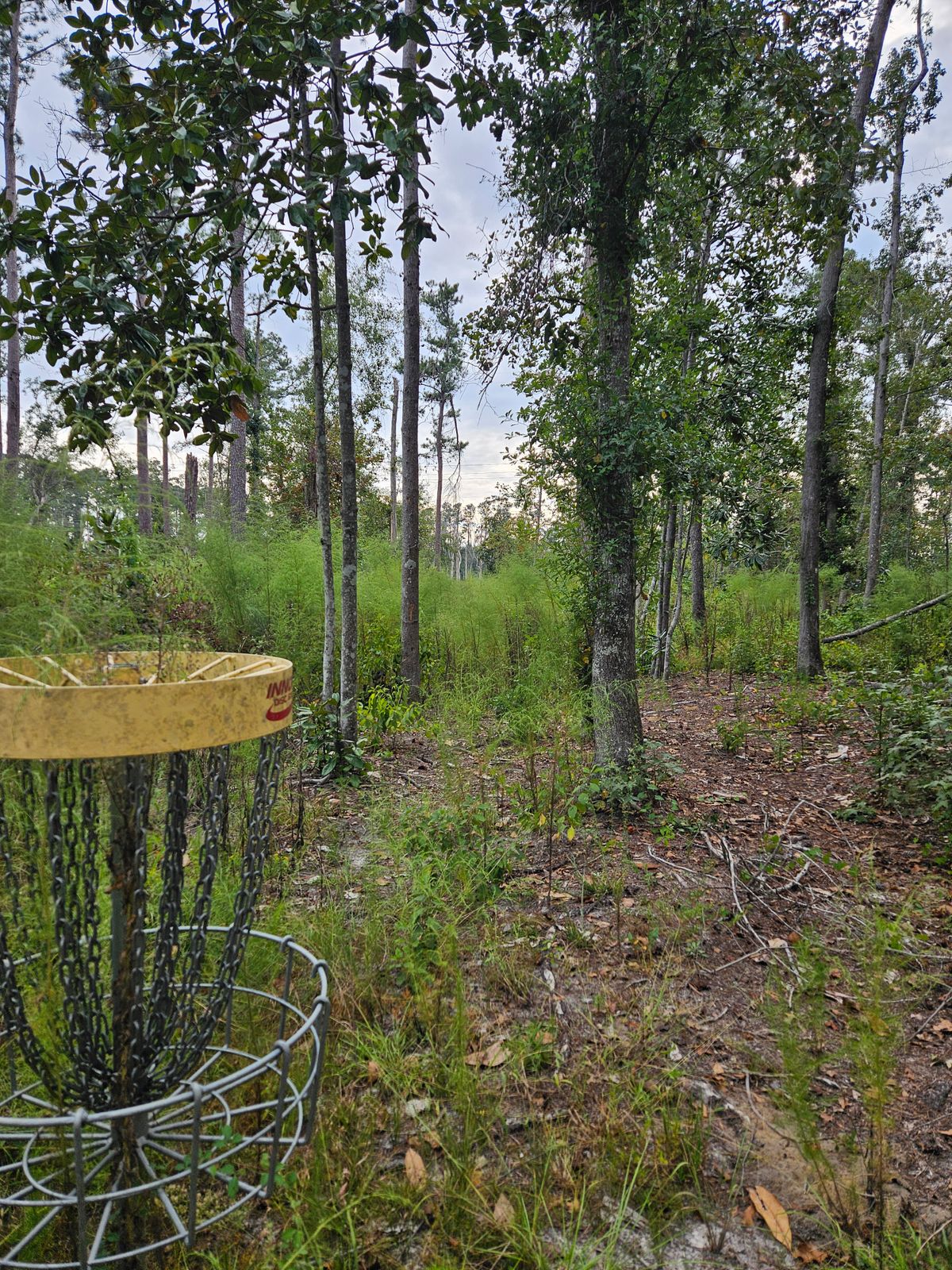 One of the holes that was too overgrown to play.