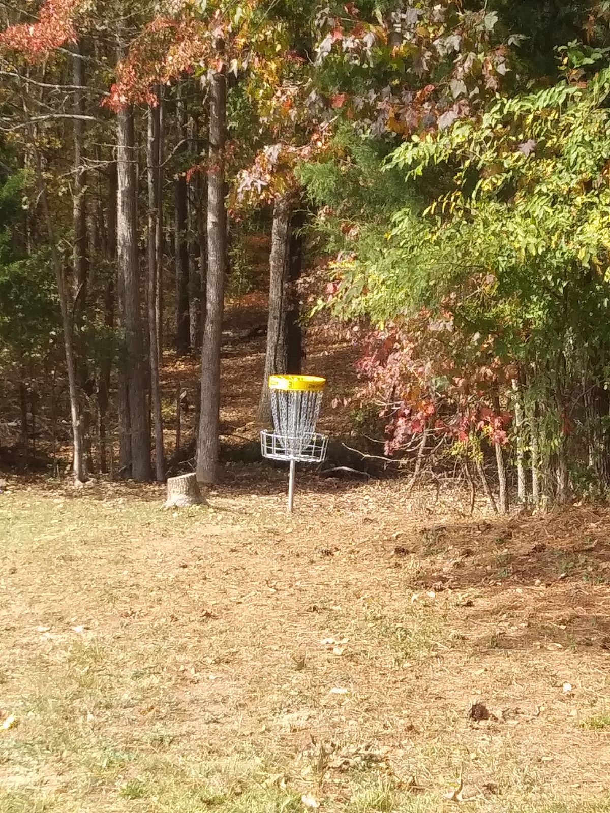 Hole 3 basket