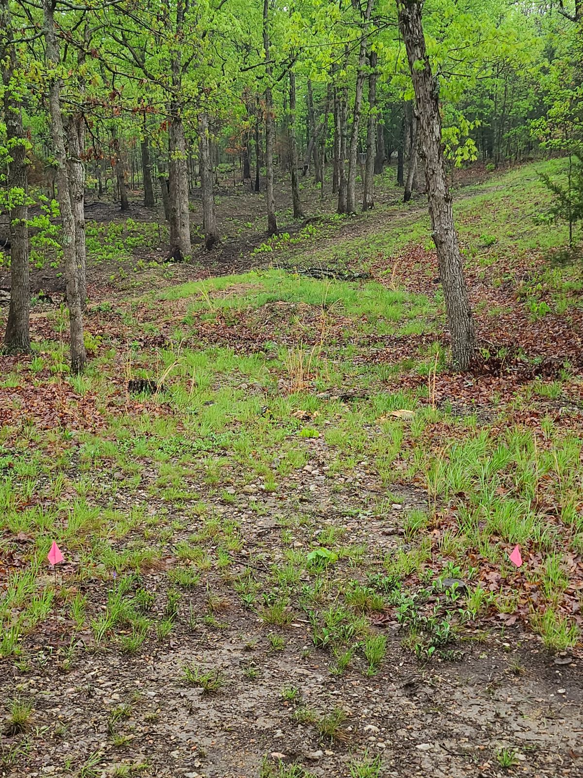 Hole 2 A pad