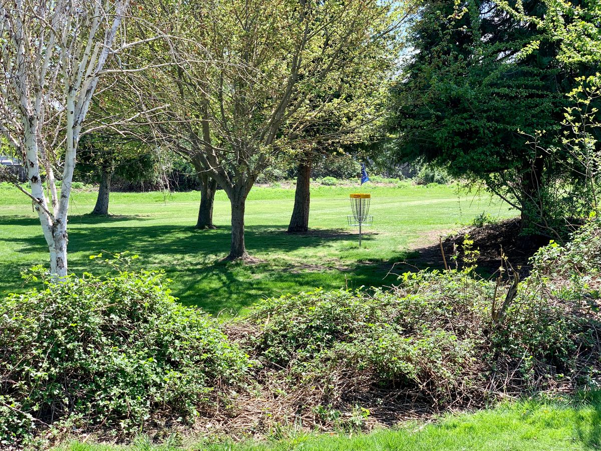 Hole 8’s basket