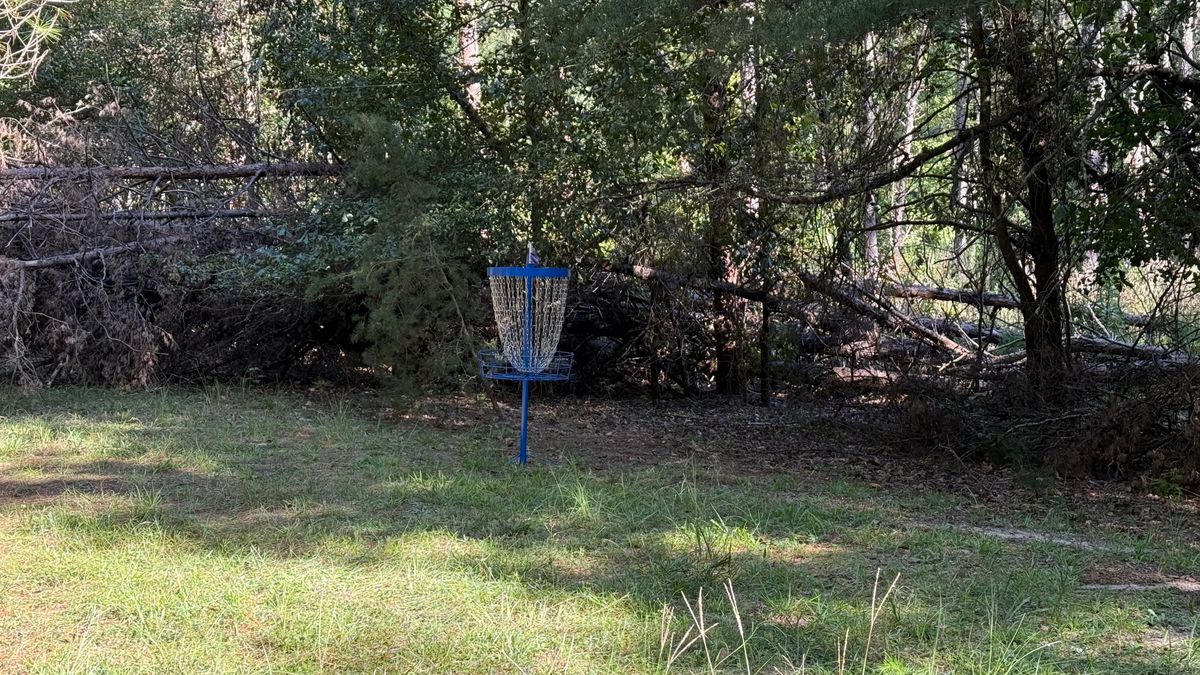 Hole 3: Basket