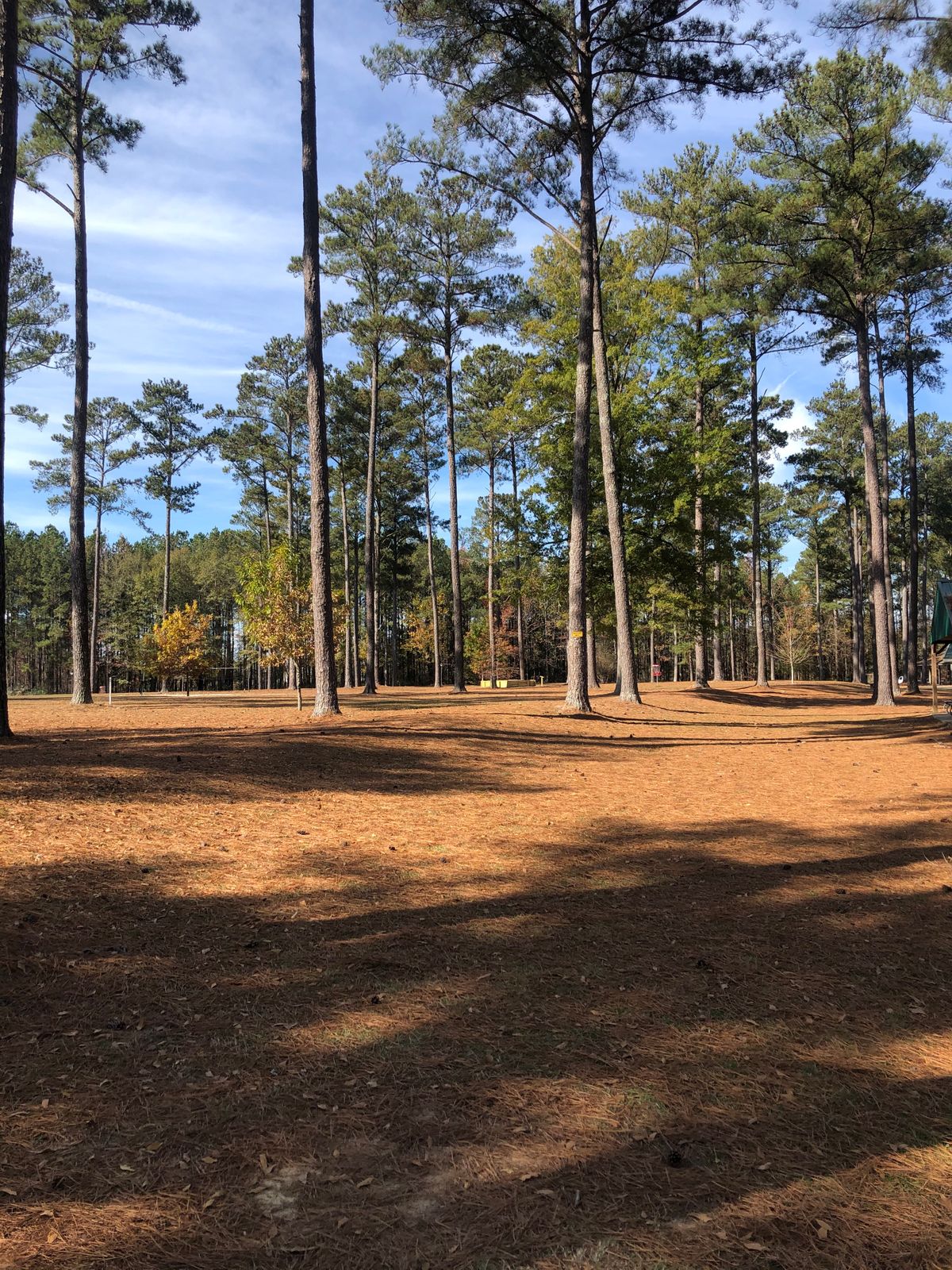 Hole 8