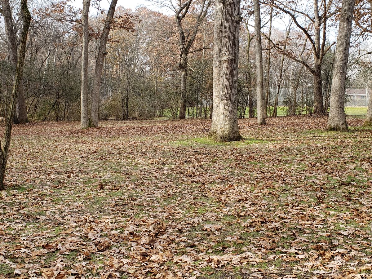 Hole 10