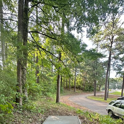 Hole 3 shared tee