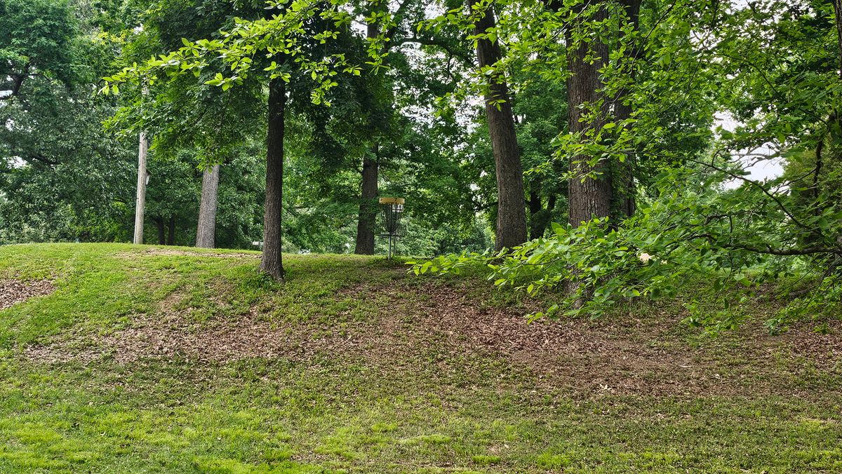 Hole 7 basket