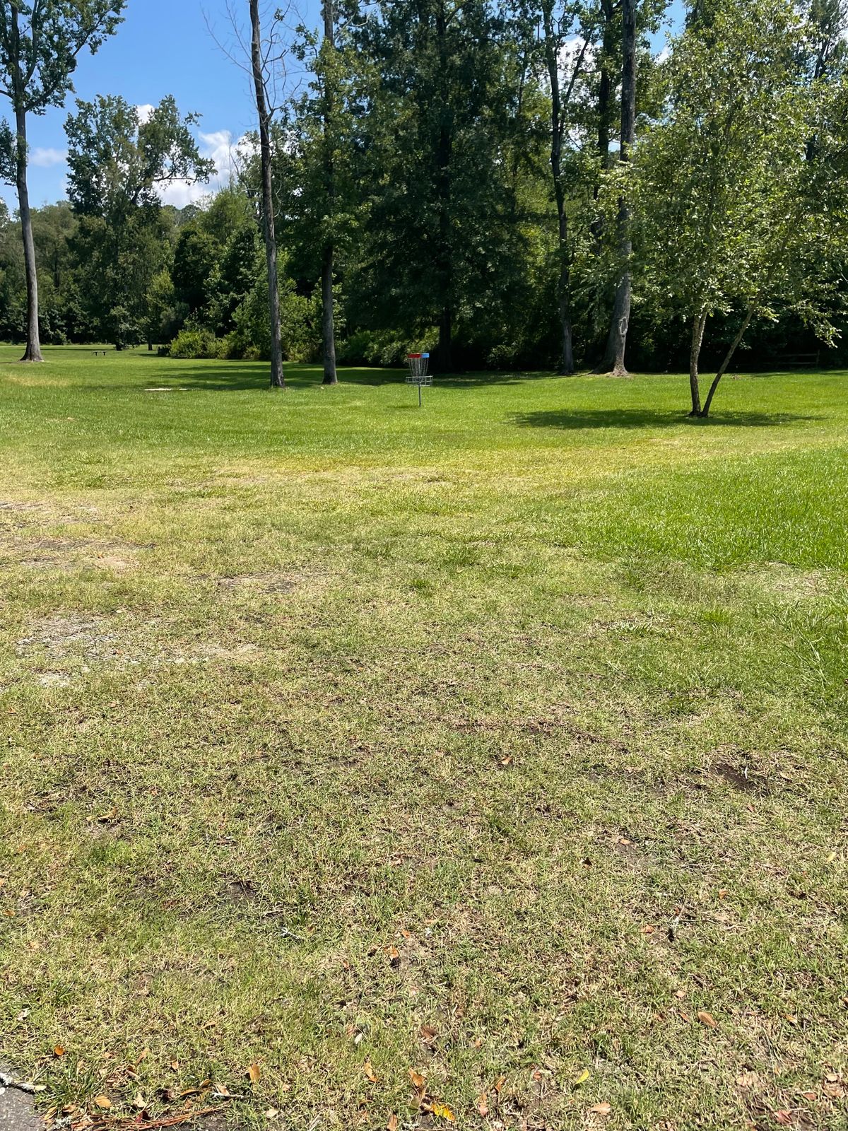 Approach to the basket from White/Red Tee