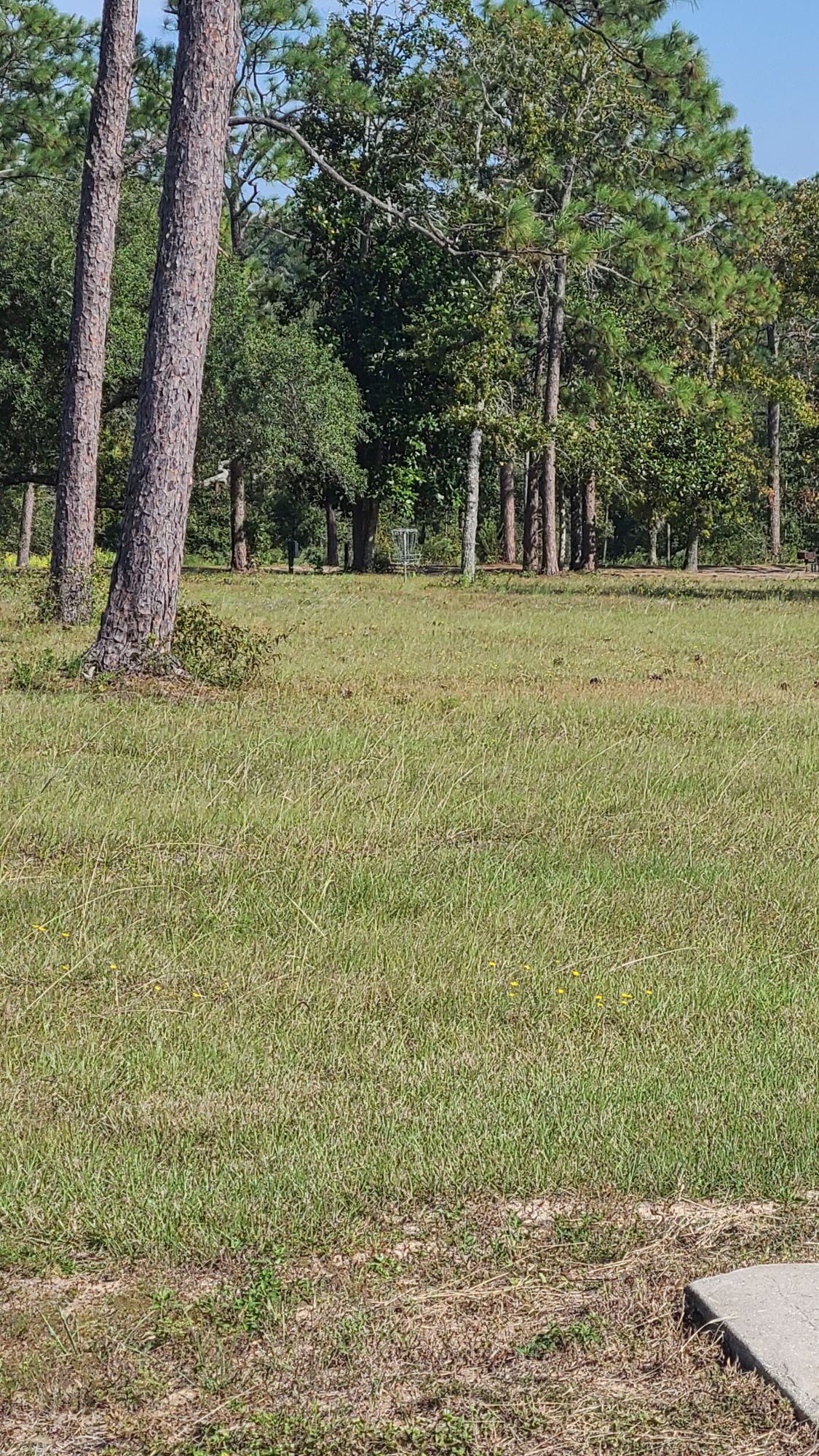 Hole 1 teepad