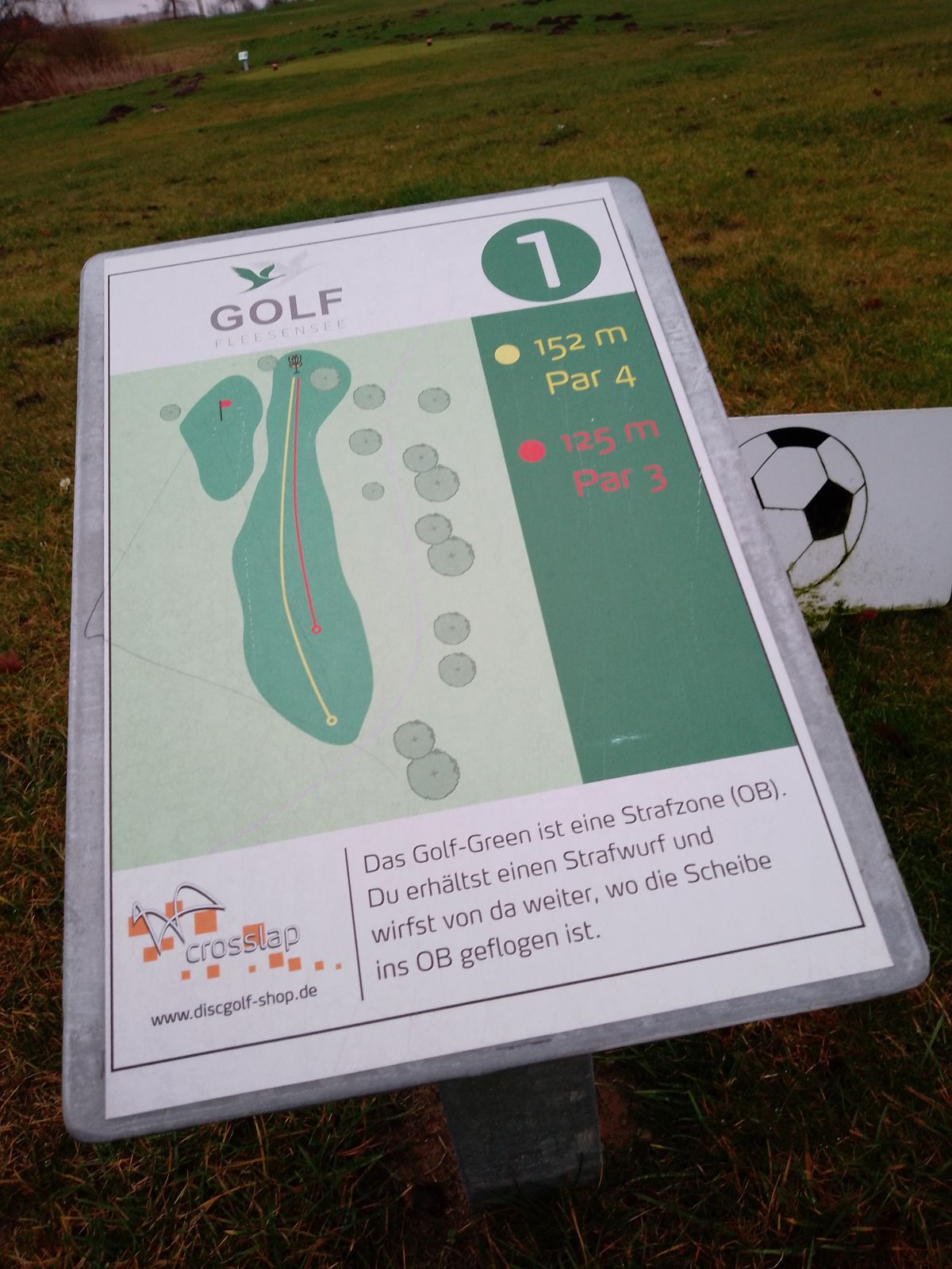 Tee1