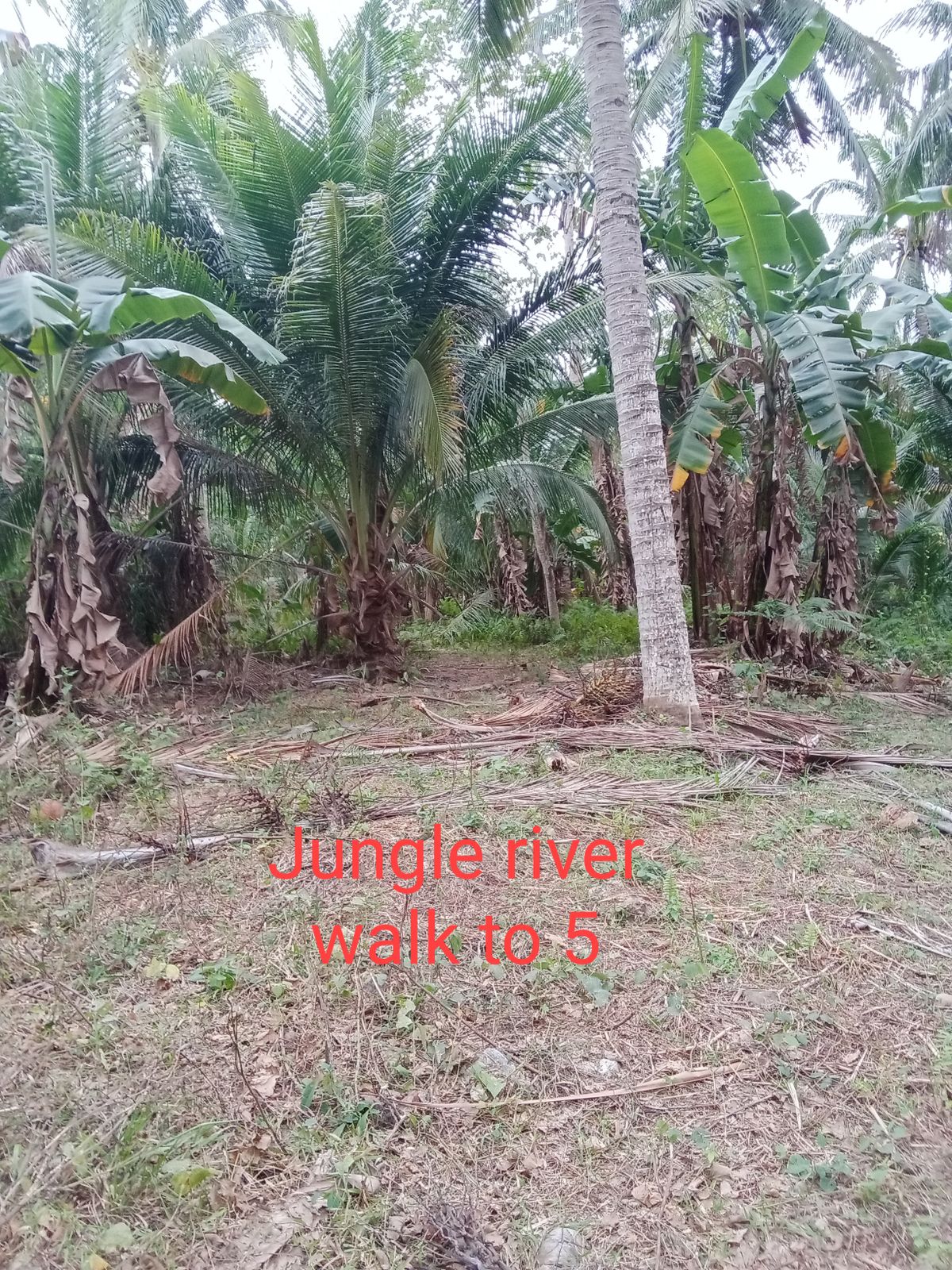 River trail to Hole 5