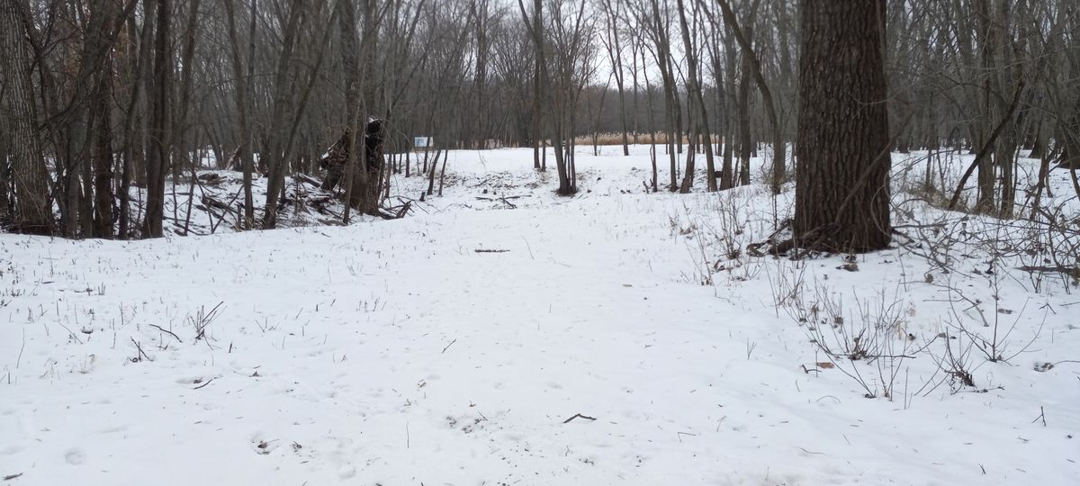Hole ten fairway.