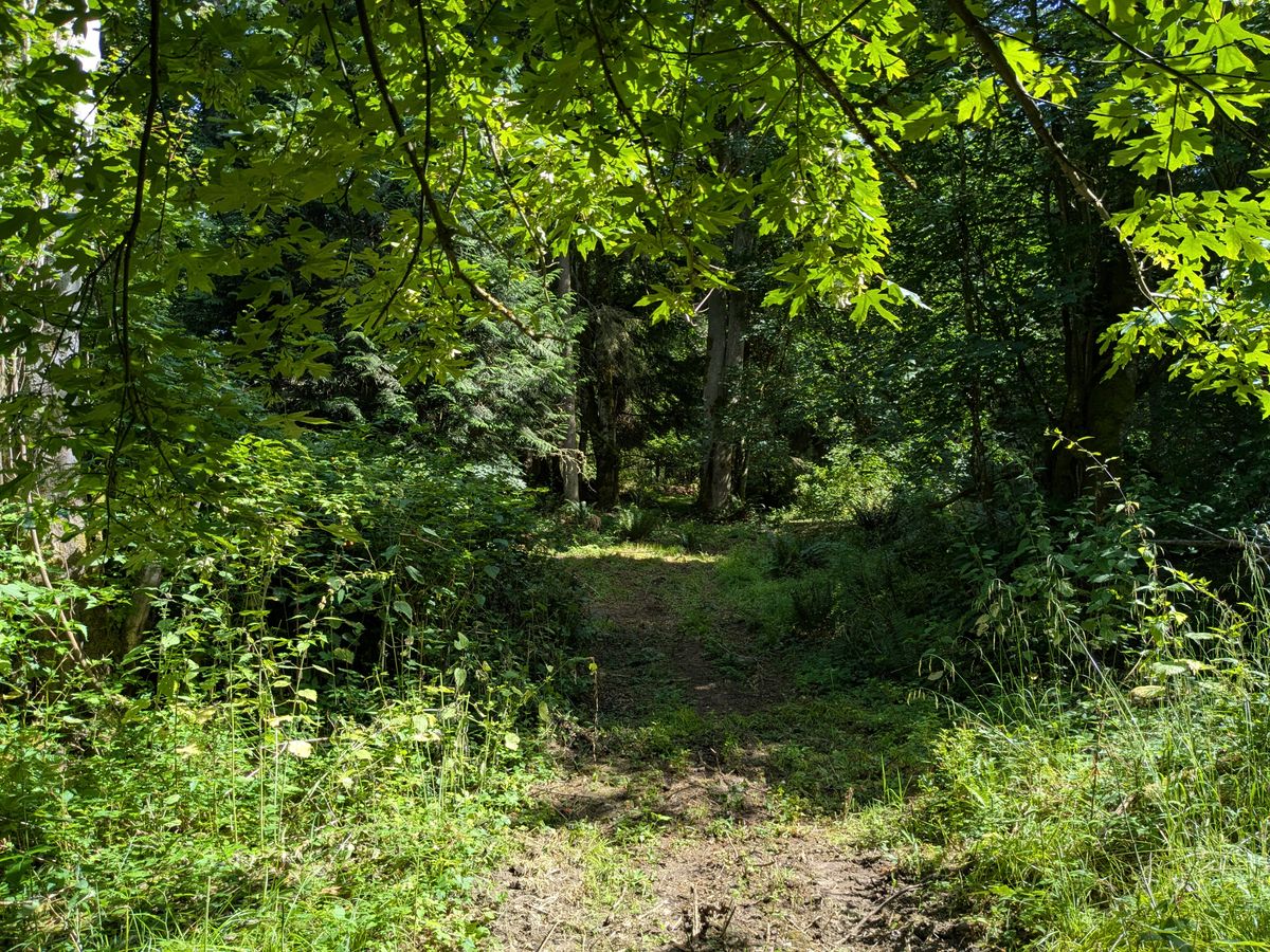 Hole 18 Tee
