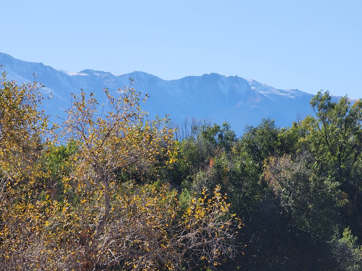 Beautiful Colorado fall day!