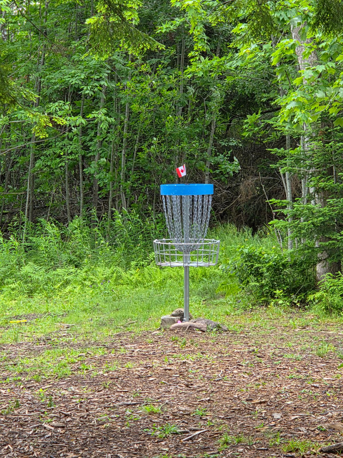 Hole 1