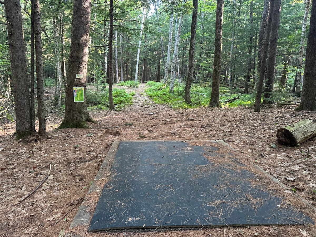 Tee pad 13