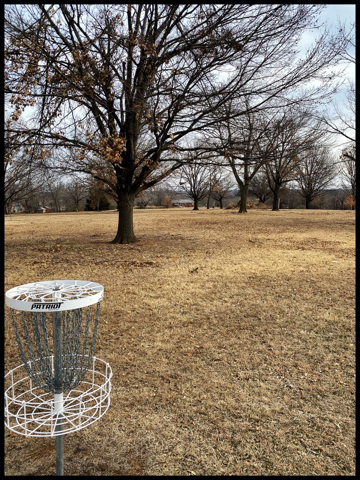 #8 green