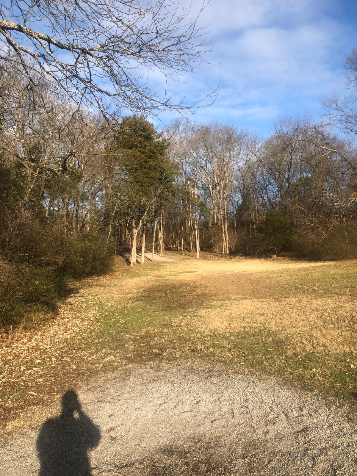 Hole 4
