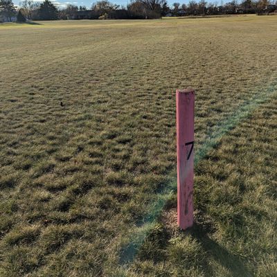 Hole 7 tee box facing basket 7