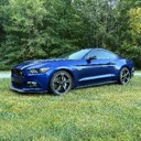 fordtrucks17