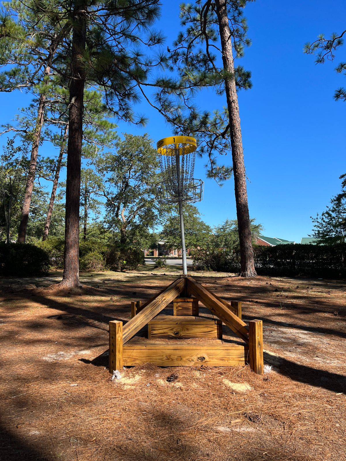 Hole 1 is an elevated basket.