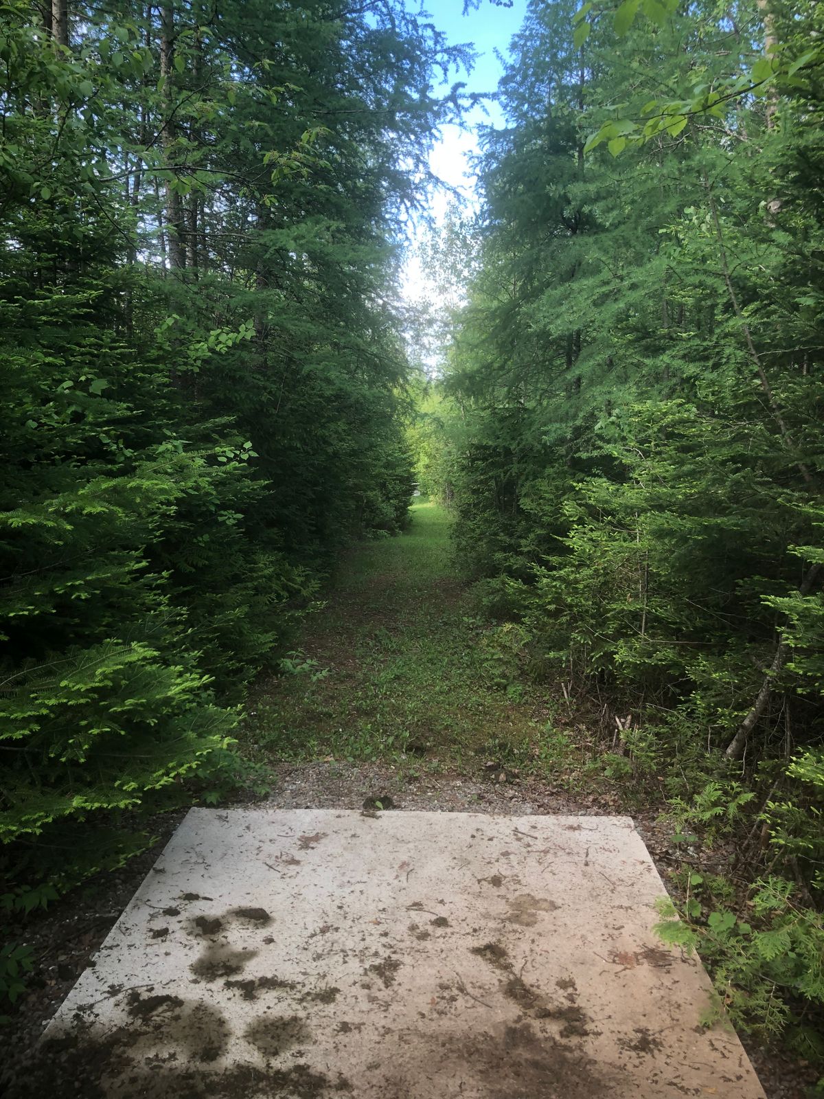 Tee pad 6