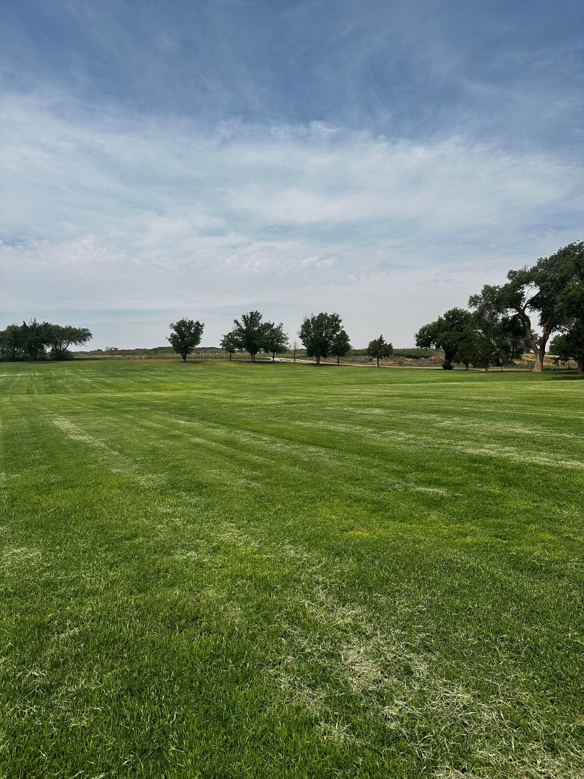 Hole 2 Fairway