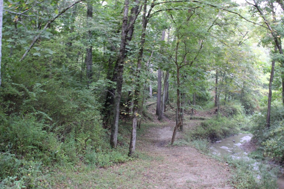 Hole 15 (Basket)