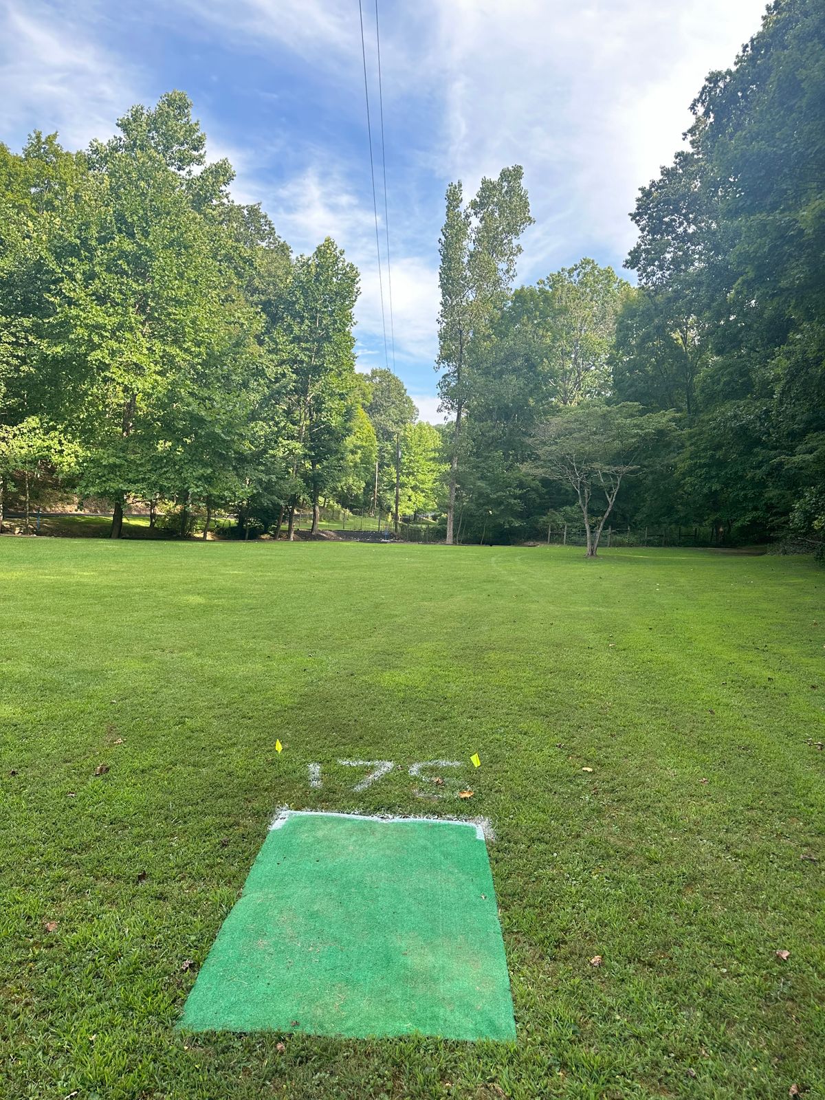 Hole 17- short tee