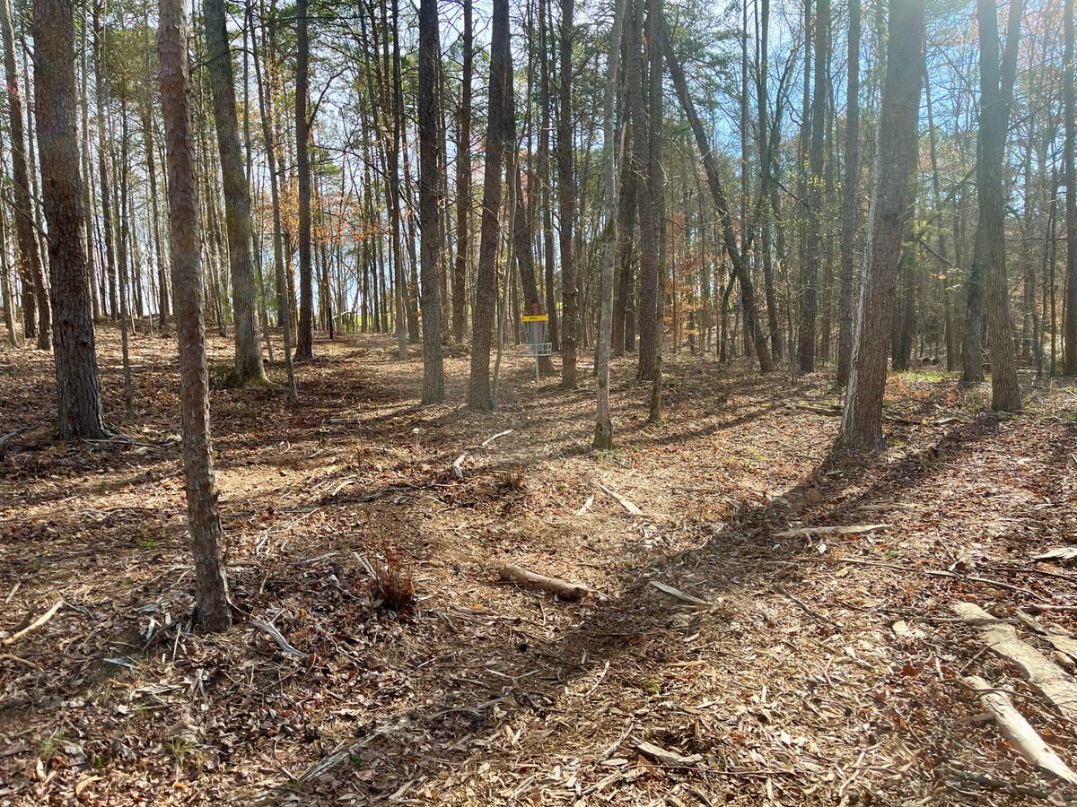 Hole 8 approach