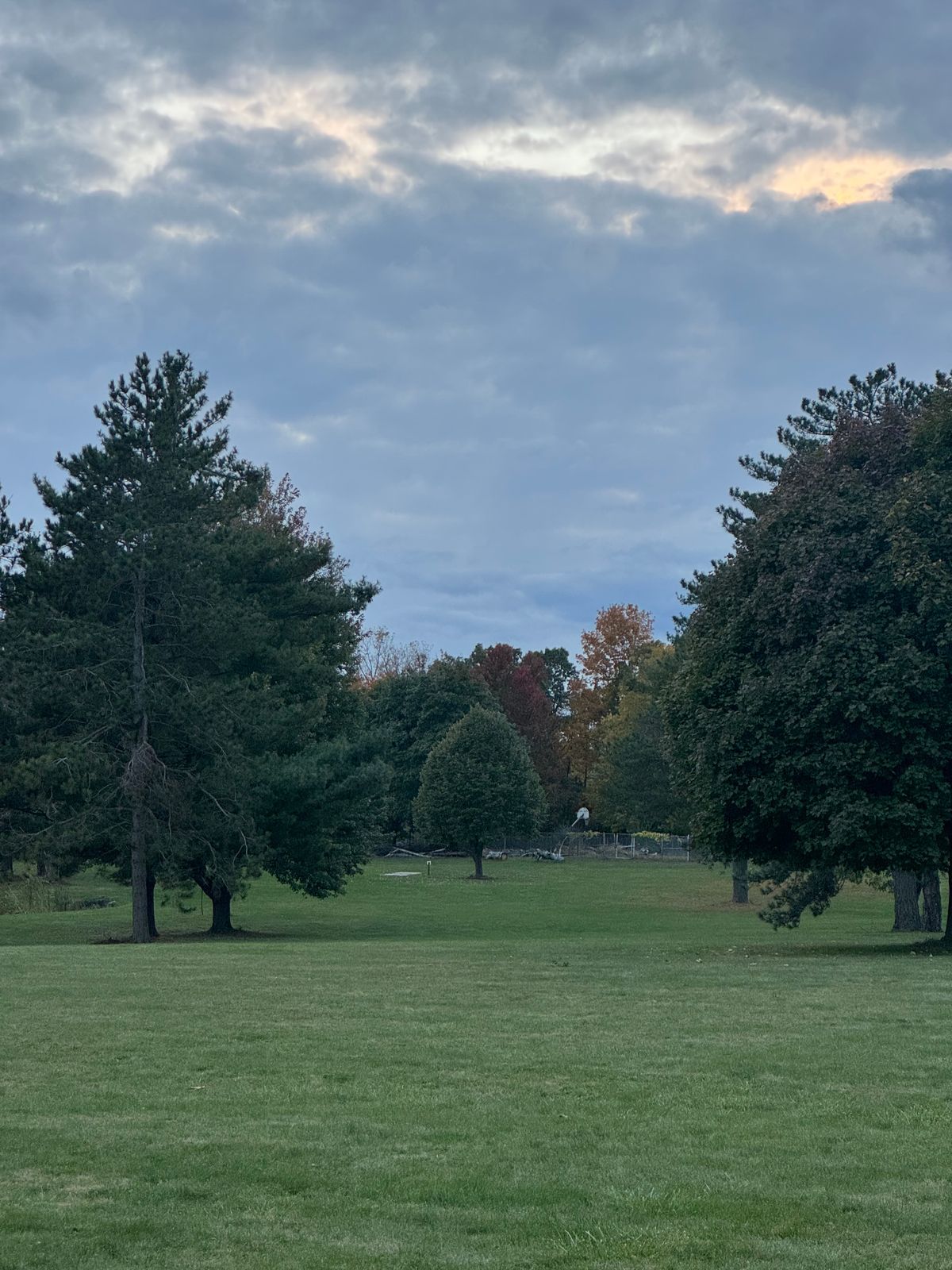 18 Blue Alternative Fairway