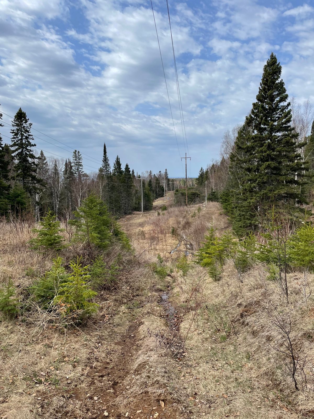 If throwing over the raging creek on whole nine in the spring time doesn’t make you sweat a lil…