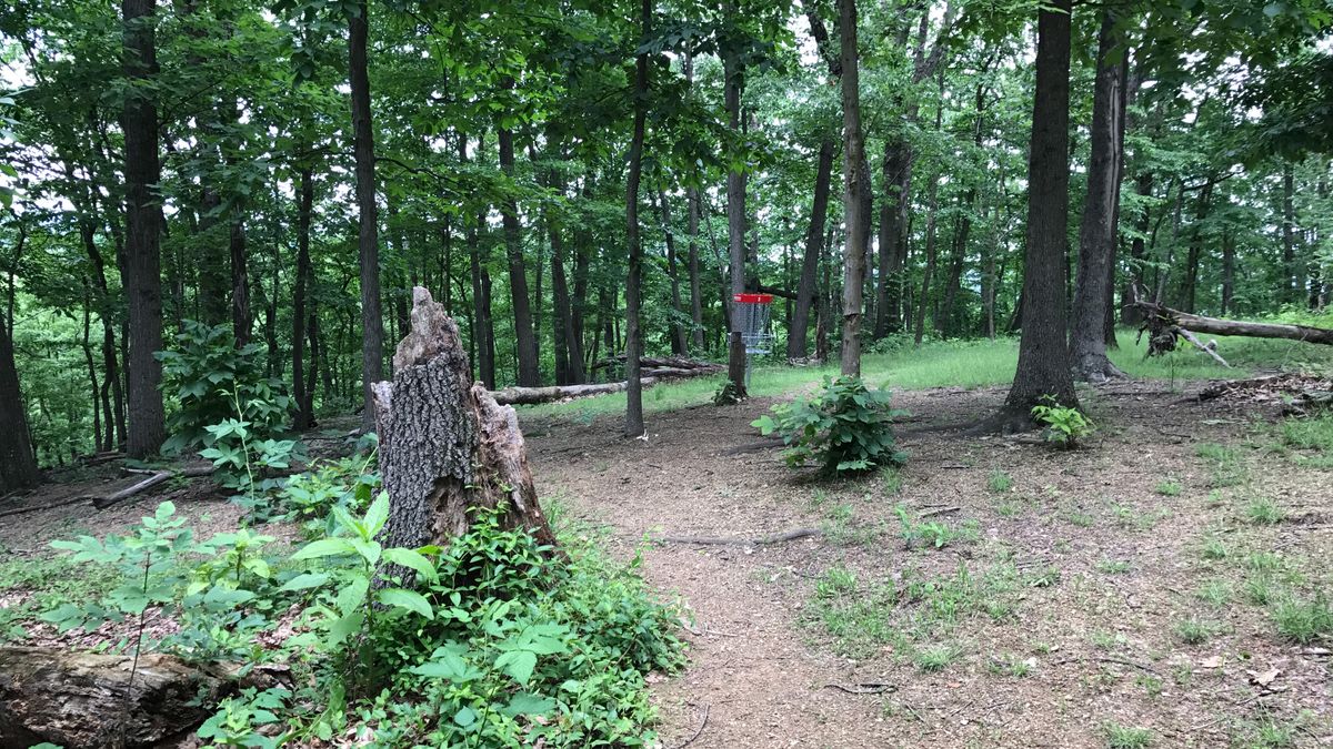 Hole 2